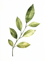 Fototapeta premium Delicate Branch with Lush Leaves