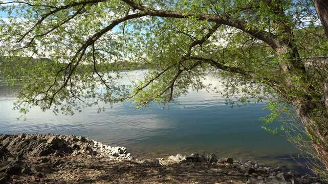 Am Uder des Edersees in Hessen