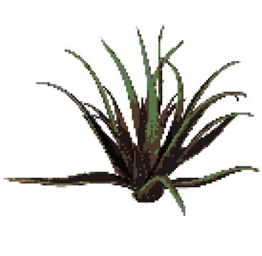 recommend clip art: Dry aloe vera pixel art