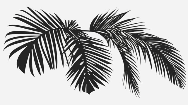 Realistic shadow overlay effect. Natural palm leaf shadows isolated on transparent background. Tropical coconut branch shade, foliage silhouette decoration. Design element for summer spring projects a