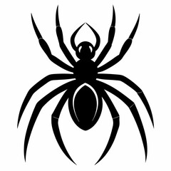 Simple Spider Silhouette Illustration