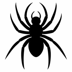 Simple Spider Silhouette Illustration