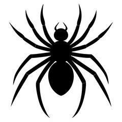 Simple Spider Silhouette Illustration