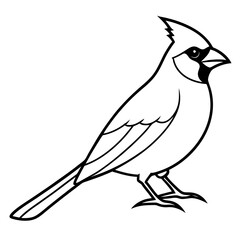 Cardinal Bird Continuous Line Art Vector