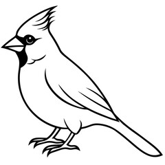 Obraz premium Cardinal Bird Continuous Line Art Vector