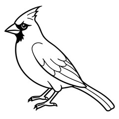 Cardinal Bird Continuous Line Art Vector