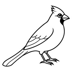 Obraz premium Cardinal Bird Continuous Line Art Vector