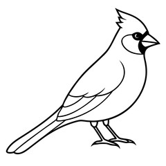 Cardinal Bird Continuous Line Art Vector