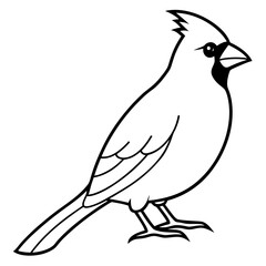 Obraz premium Cardinal Bird Continuous Line Art Vector
