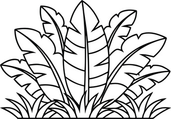Outlined tropical leaves and grass clump on a white background with bold black lines