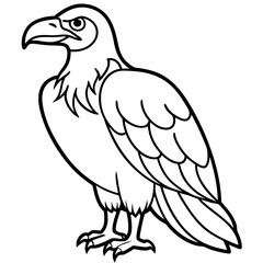 Elegant Condor Outline Vector Design