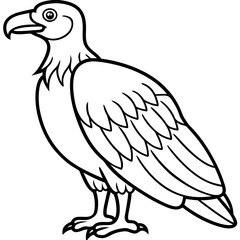 Elegant Condor Outline Vector Design