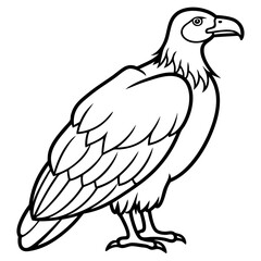 Elegant Condor Outline Vector Design