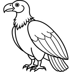Fototapeta premium Elegant Condor Outline Vector Design