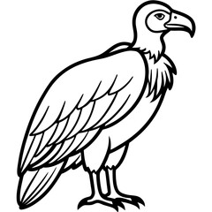 Elegant Condor Outline Vector Design