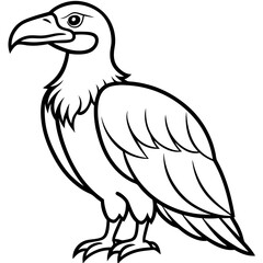 Fototapeta premium Elegant Condor Outline Vector Design