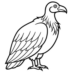 Obraz premium Elegant Condor Outline Vector Design