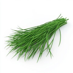 Bunch of fresh chives isolated on white background