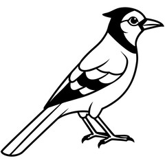 Jay’s Elegant One-Line Vector Art