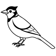 Jay’s Elegant One-Line Vector Art