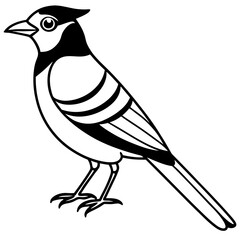 Jay’s Elegant One-Line Vector Art