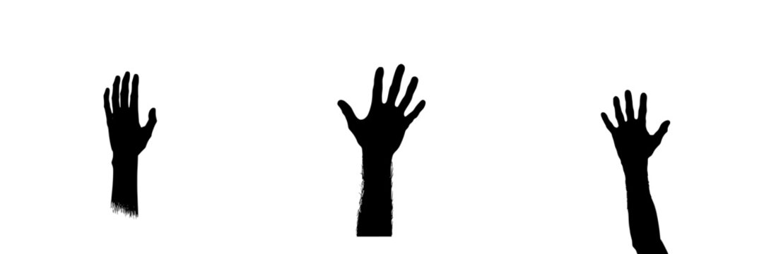 Multiple raised black hands reaching up against a stark white background in an artistic illustration