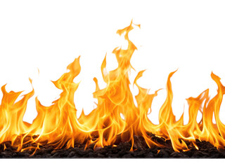 A vibrant display of flames, showcasing dynamic shapes and bright orange hues.