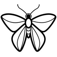 nimal Moth line art vector 