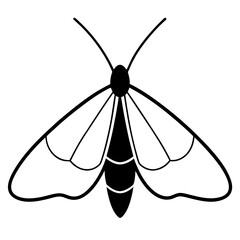 nimal Moth line art vector 