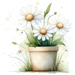 Clay pot filled with white daisies and green leaves on a white background. For DIY crafts and handmade cards, watercolor artwork.