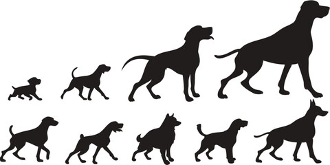 Dog Growth Stages Vector - Puppy to Adult Dog Silhouettes Set, Canine Life Cycle Illustration