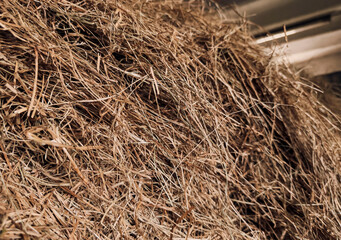Hay Bale Close Up for Animal Feed and Rural Farm Life with Horses and Livestock