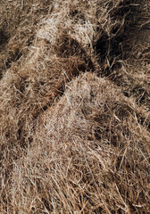 Hay Bale Close Up for Animal Feed and Rural Farm Life with Horses and Livestock