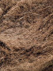 Hay Bale Close Up for Animal Feed and Rural Farm Life with Horses and Livestock