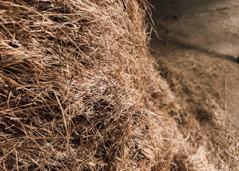 Hay Bale Close Up for Animal Feed and Rural Farm Life with Horses and Livestock