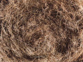 Hay Bale Close Up for Animal Feed and Rural Farm Life with Horses and Livestock