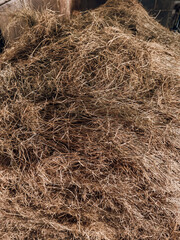 Hay Bale Close Up for Animal Feed and Rural Farm Life with Horses and Livestock