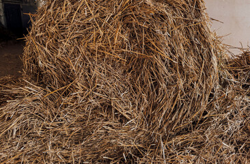 Hay Bale Close Up for Animal Feed and Rural Farm Life with Horses and Livestock