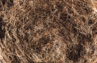 Hay Bale Close Up for Animal Feed and Rural Farm Life with Horses and Livestock