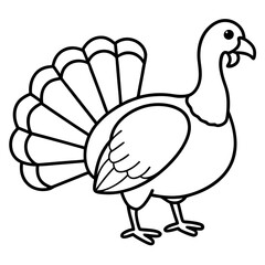 Modern One-Line Turkey Vector Illustration