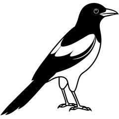 One-Line Magpie Vector Sketch