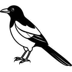 One-Line Magpie Vector Sketch