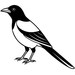 One-Line Magpie Vector Sketch