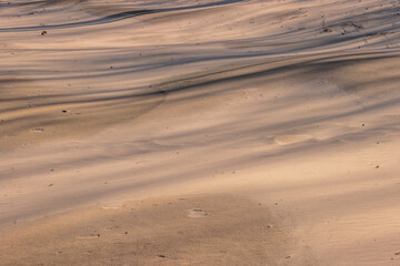 Long shadows of nearby trees, late in March in the afternoon, are cast over the drifted beach sand from Lake Michigan at Harrington Beach State Park, Belgium, Wisconsin