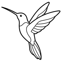 Simple Hummingbird in Continuous Line Vector