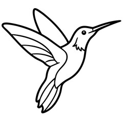 Simple Hummingbird in Continuous Line Vector