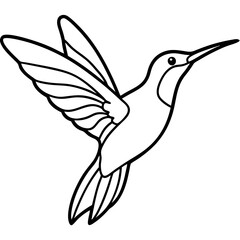 Simple Hummingbird in Continuous Line Vector
