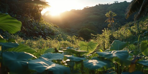 Lush tropical landscape at sunset.  Sunlight filters through dense foliage, highlighting the verdant valley