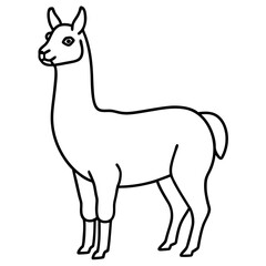 Simple Llama One-Line Vector Artwork