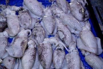 fresh fish from a local market in sri lanka